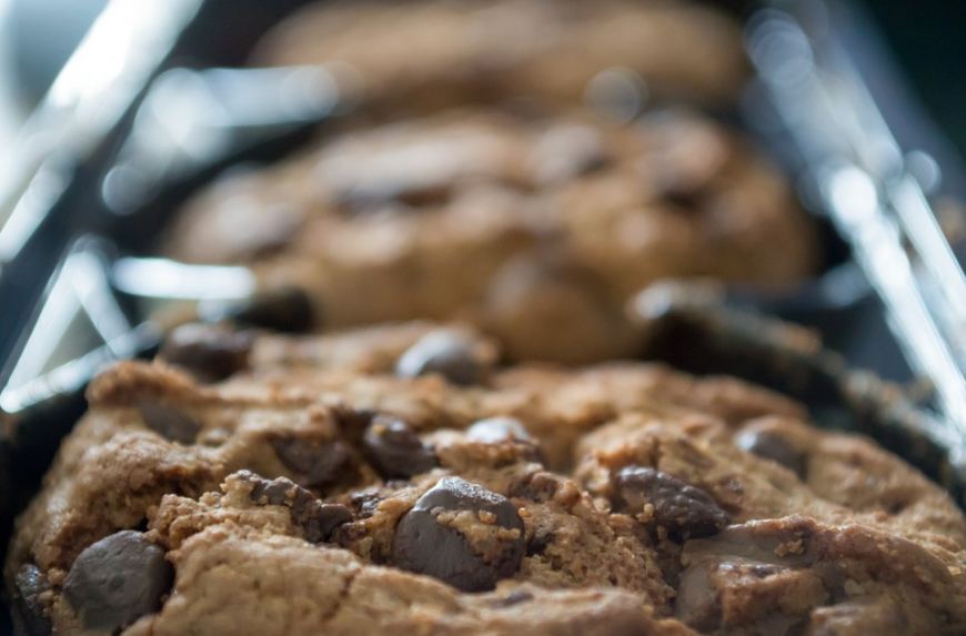 chewing chocolate chip cookies