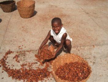 Nestlé Controversies