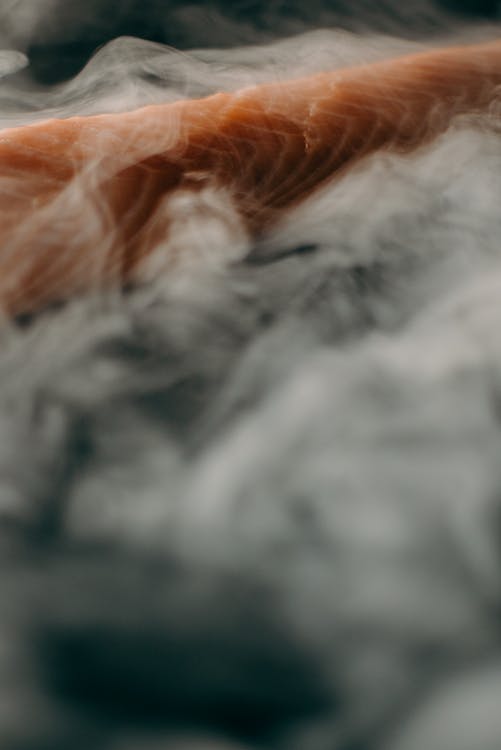 A closeup image of a salmon strip